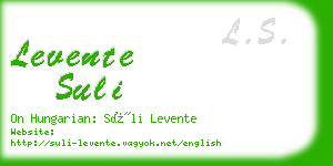 levente suli business card